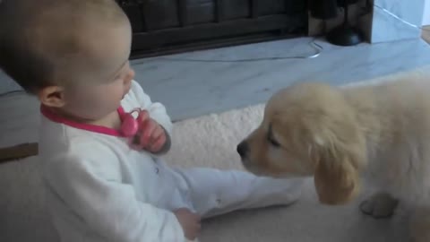 Baby and Puppy meet for the first time!_1