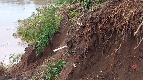 Rio taquari arancou várias casas