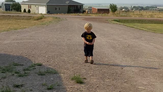 Playing Find the Specific Rock With Dad