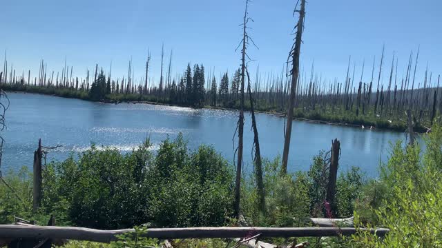 Central Oregon - Mount Jefferson Wilderness - The Picturesque Environment of Wasco Lake - 4K