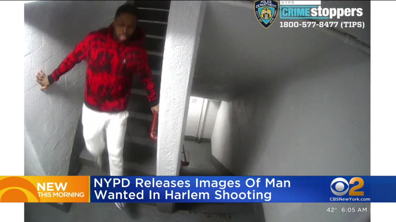 First look at Harlem shooting suspect