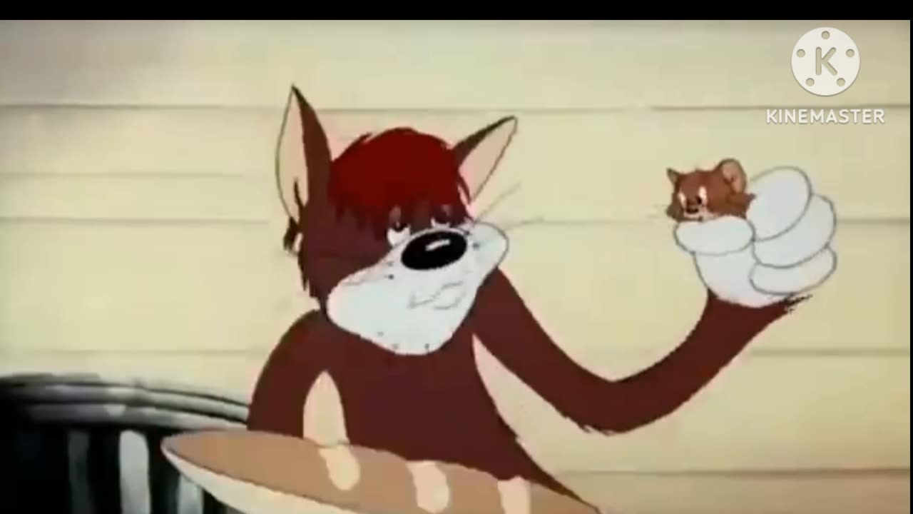 Tom and Jerry Cartoon network