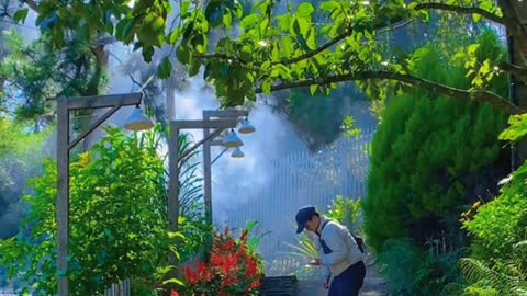 Peaceful countryside scene