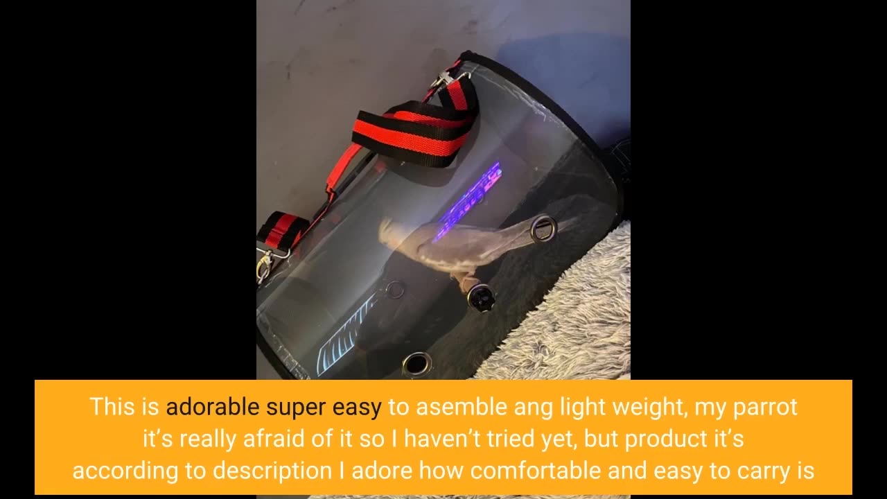 Colorday Lightweight Bird Carrier Bird Travel cage-Overview