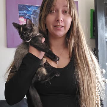 Flash warning ⚠️ #kicklivestreaming #gamergirlcheck #gaming #longhair #egirl #edits