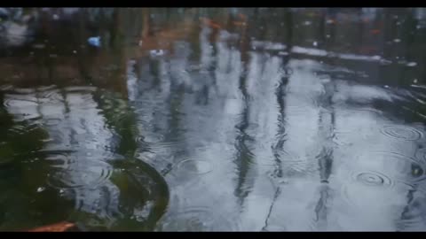 Rain Sounds Video - 4 Hours