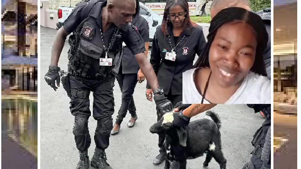 Goat arrested in south Africa