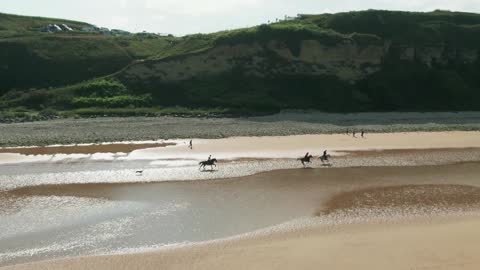 Horse riding pleasure on beach.