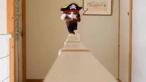 Captain Cat Sparrow