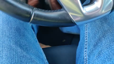 Cat Cozies Up In Stranger's Car