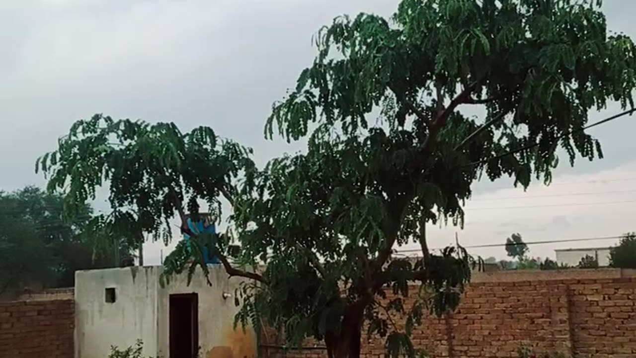 Mery gaon ki subha🤩 Subscribe my channel