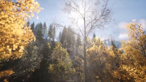 Hours of Amazing Nature Scenery