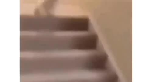 🤣🤣