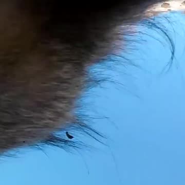 Remote filming comes with its challenges 😂 #PlanetEarth3