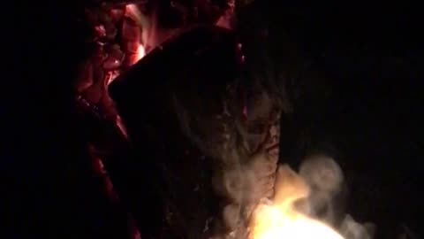 Sizzling BBQ Fire: Igniting Flavor and Fun in Every Frame