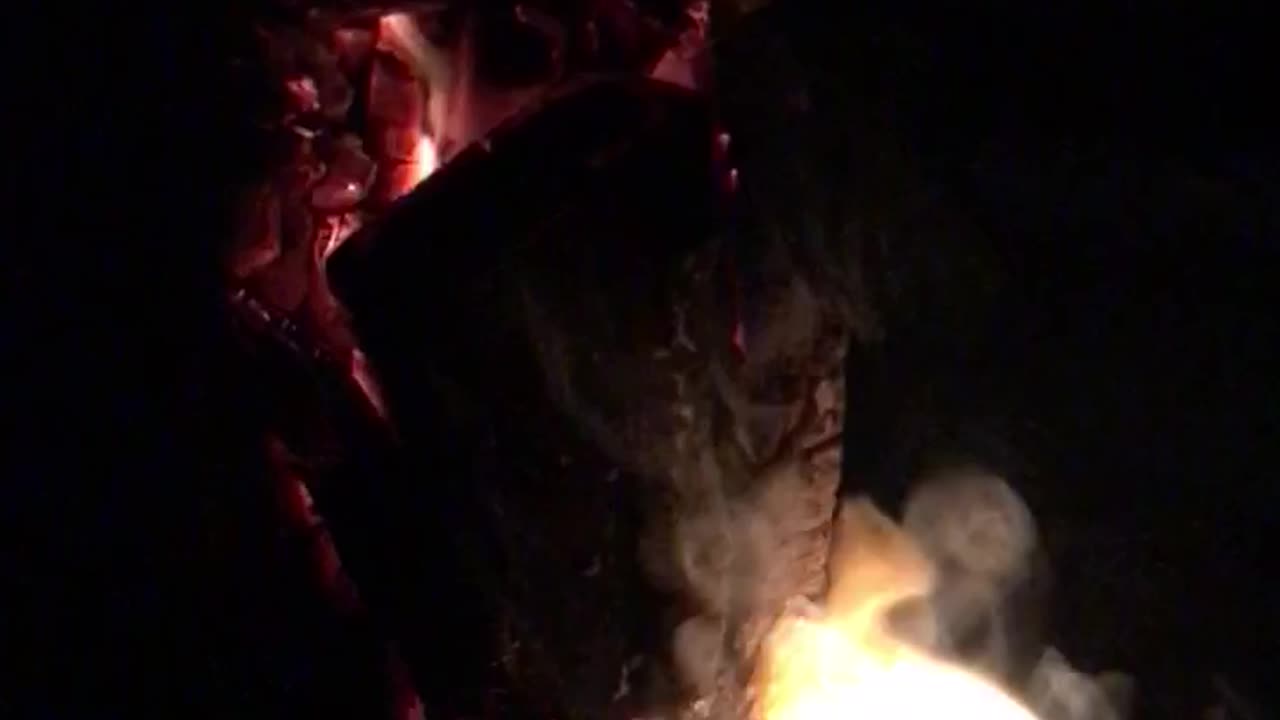 Sizzling BBQ Fire: Igniting Flavor and Fun in Every Frame