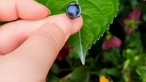 World Smallest Surveillance Camera 2023 #foryou #viral #camera #ytshorts #trending
