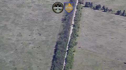 Courage and foolishness in action. A lone Russian tank crossed the border with