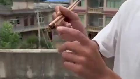 Chinese Man Eats Hornets - Uno Reverse Card Pulled