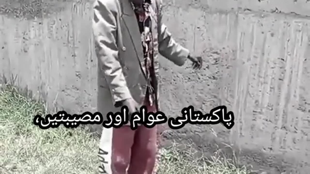 Save life from dog