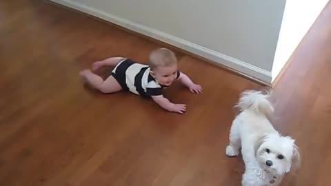 Animals Being Adorable: Too Cute to Handle
