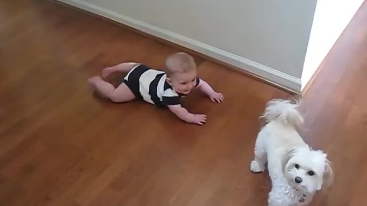 Animals Being Adorable: Too Cute to Handle