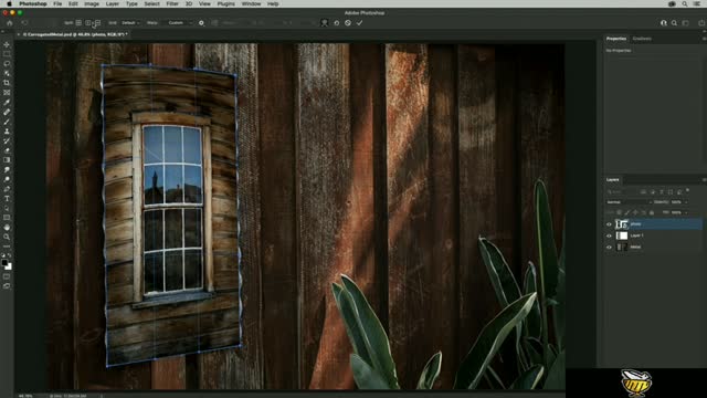 Warping images
