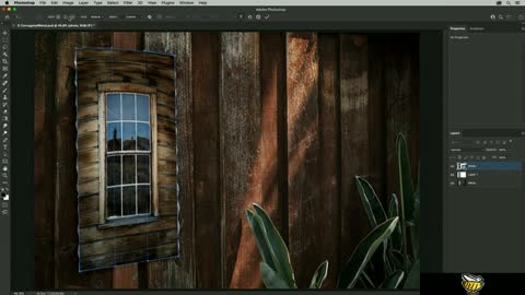Warping images