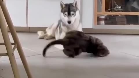 What a naughty boy, what a prankster!!🤣😁😍