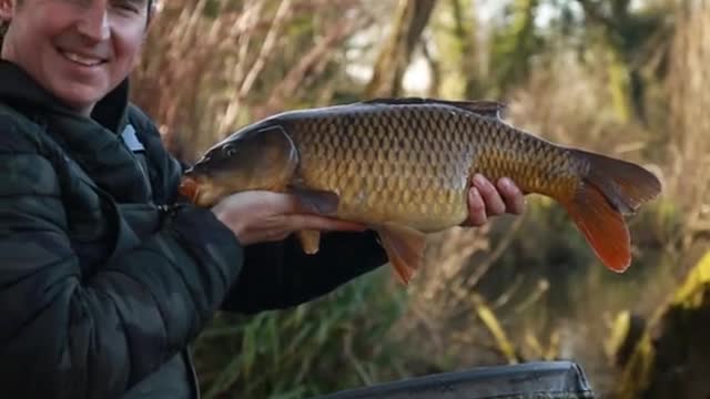 Phil on the method feeder, anyone get a bend in the rod recently