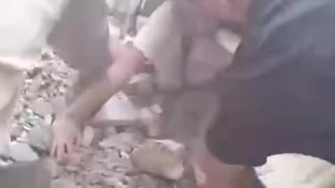 A little girl rescued from under the rubble in Al-Ghaziyeh, Lebanon