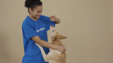 A Volunteer Caring For Homeless Dogs