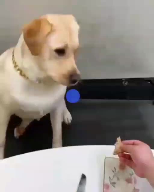 Anti-Loosh Video Number 246. LOOSH is real and bad. Explained below and watch the video