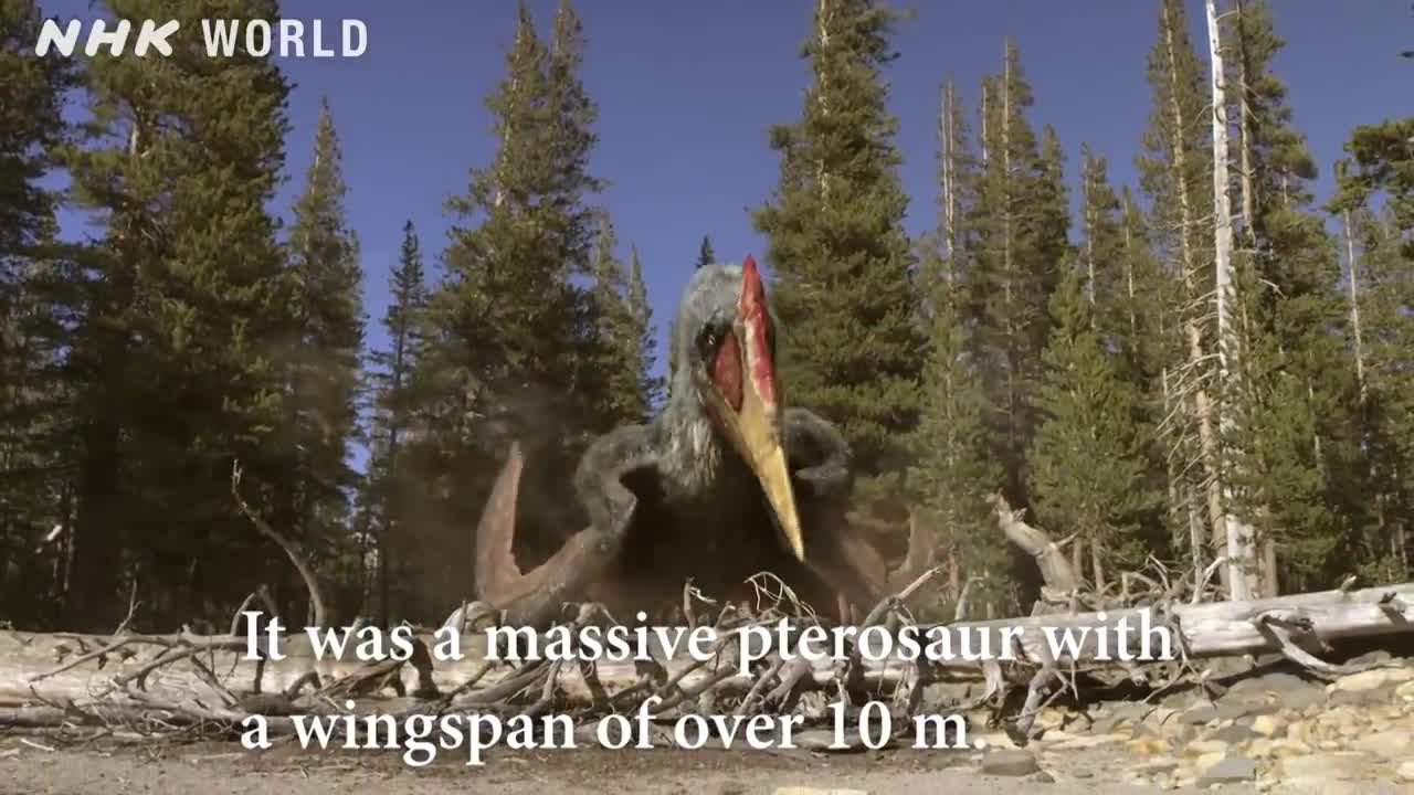 Tyrannosaurus_ The Feathered Tyrant - DINOSAURS