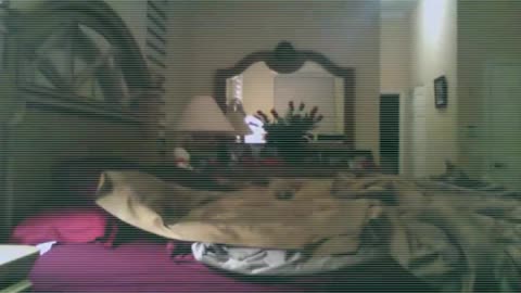 Make the bed dear