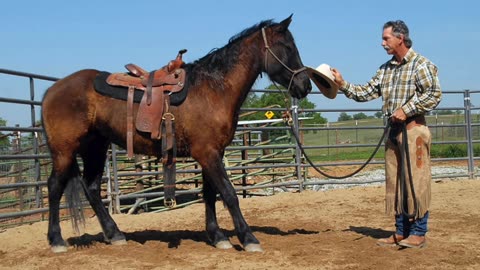 Why use a Round Pen ?