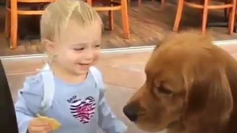 Cute pet funny video