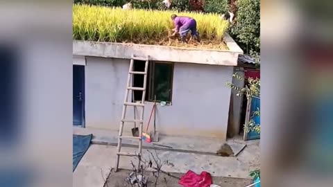 How to amazing 😻I hope you feeling this morning and