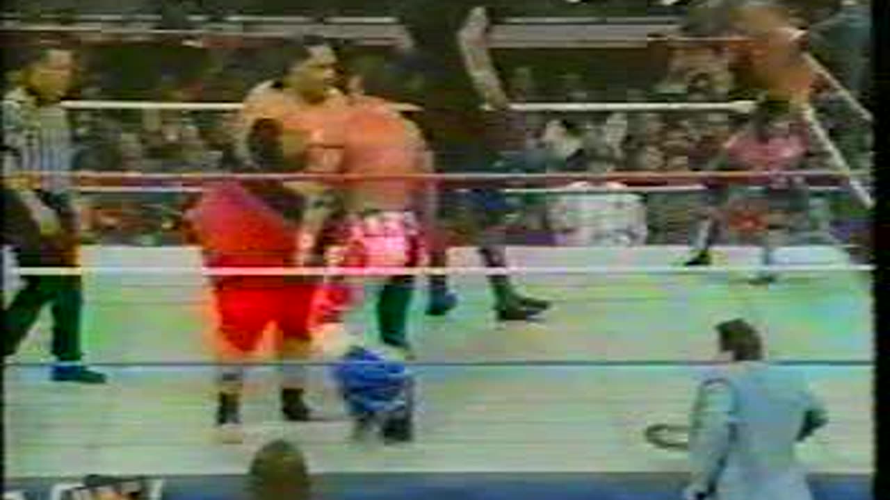 british bulldog & owen hart vs yokozuna & the undertaker