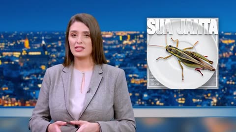 A mentira destruindo o sistema alimentar