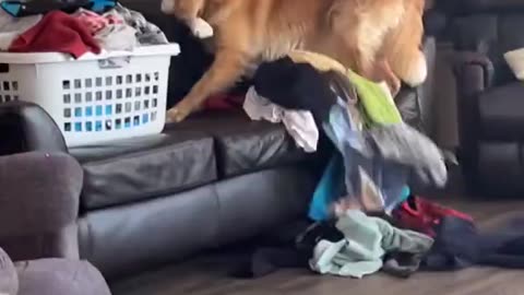Took His Spot