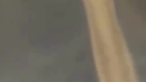 NOT SEEN EVERYDAY