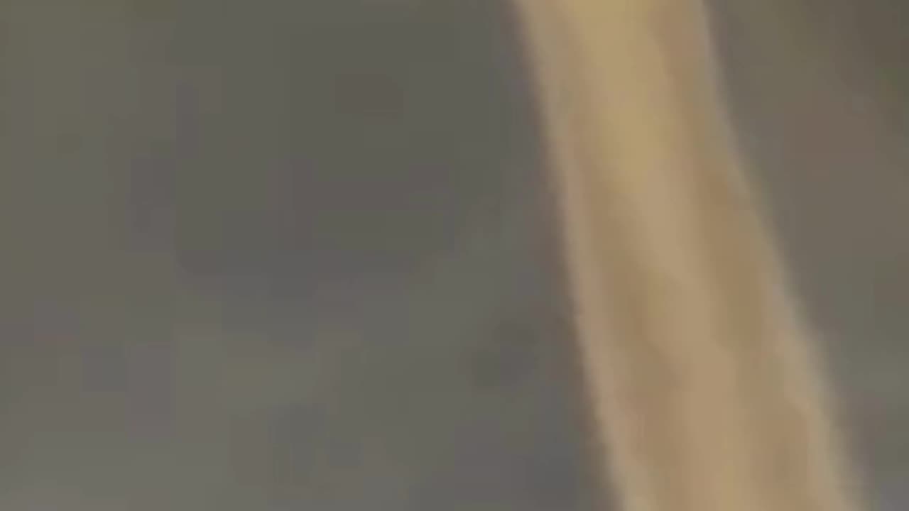 NOT SEEN EVERYDAY