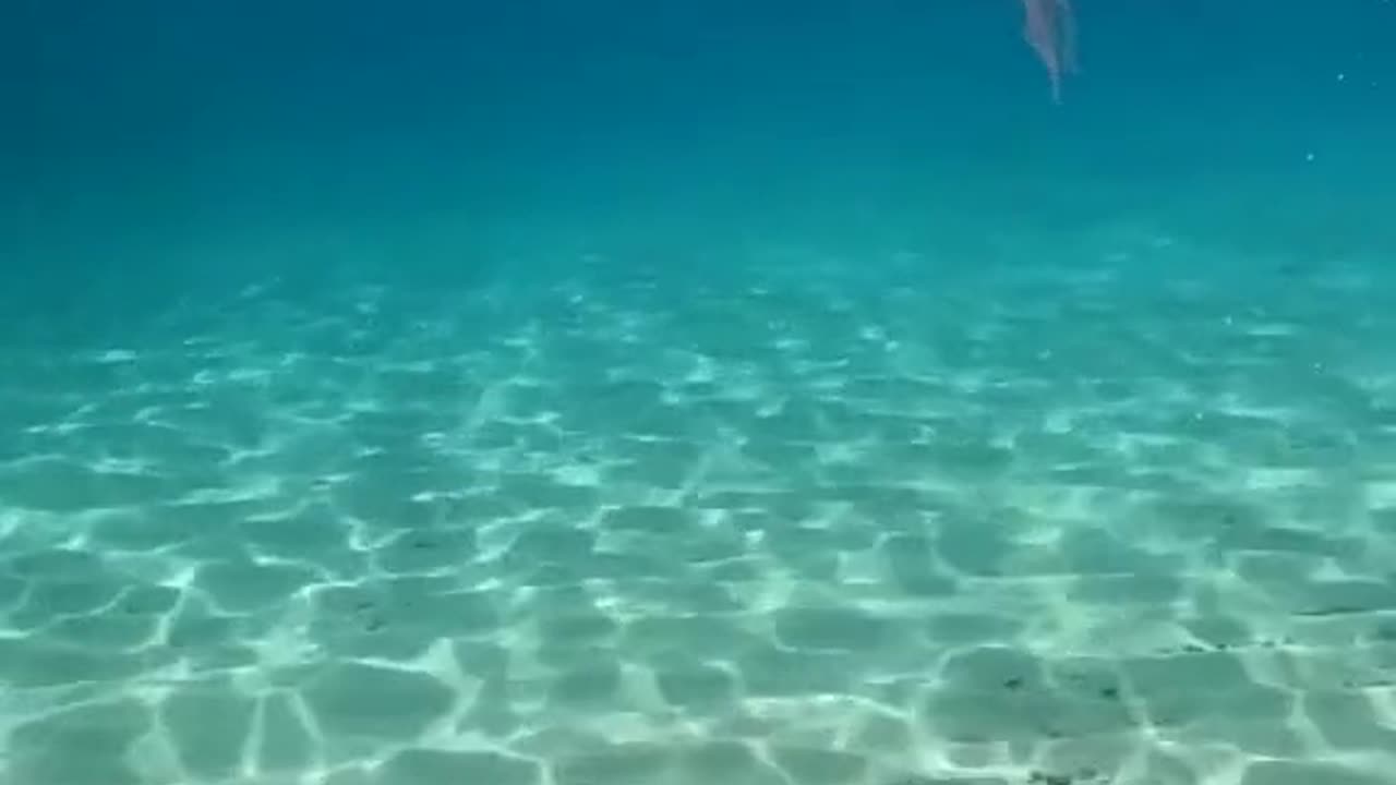 Ocean