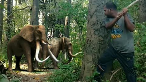 very dengerous elephant attack viral video #elephant