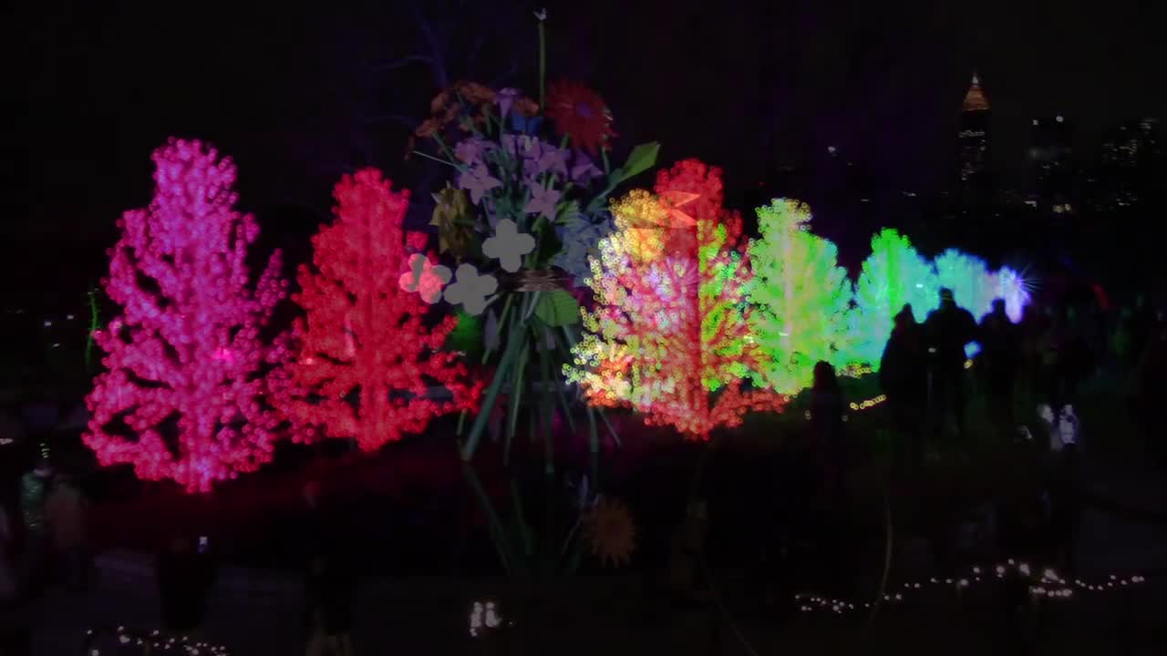 BITANICAL GARDER | HOLIDAY LIGHTS | WORKS | JESSMONI
