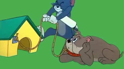 Tom and Jerry Cartoon green screen background