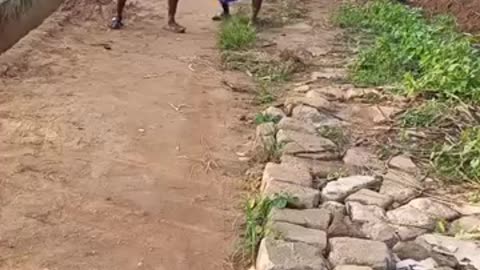 Funny fail(4)