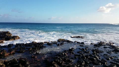 Trying to Catch a glimpse of the Kauai Turtles