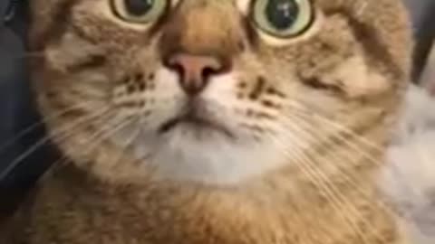😔😔CRIMSY Pro Max funny short video 😮😮